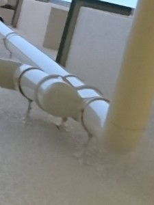 17239