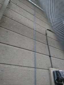 DSC_0728