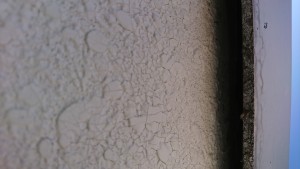 DSC_1015